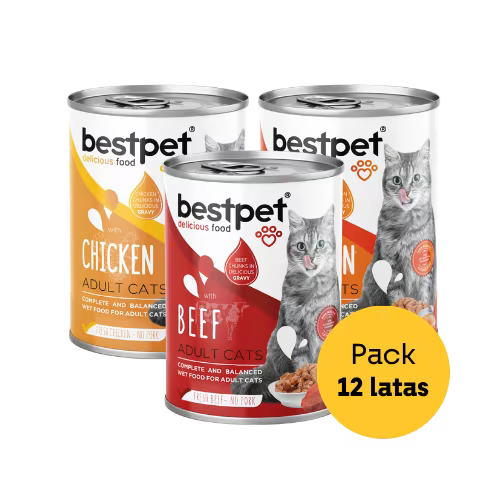 Bestpet Alimento Humedo Para Gatos Pack 12 Und X 400 Grs